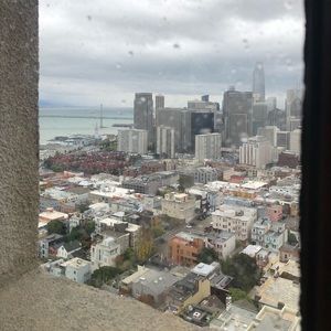 Meet your Posher, Saghar